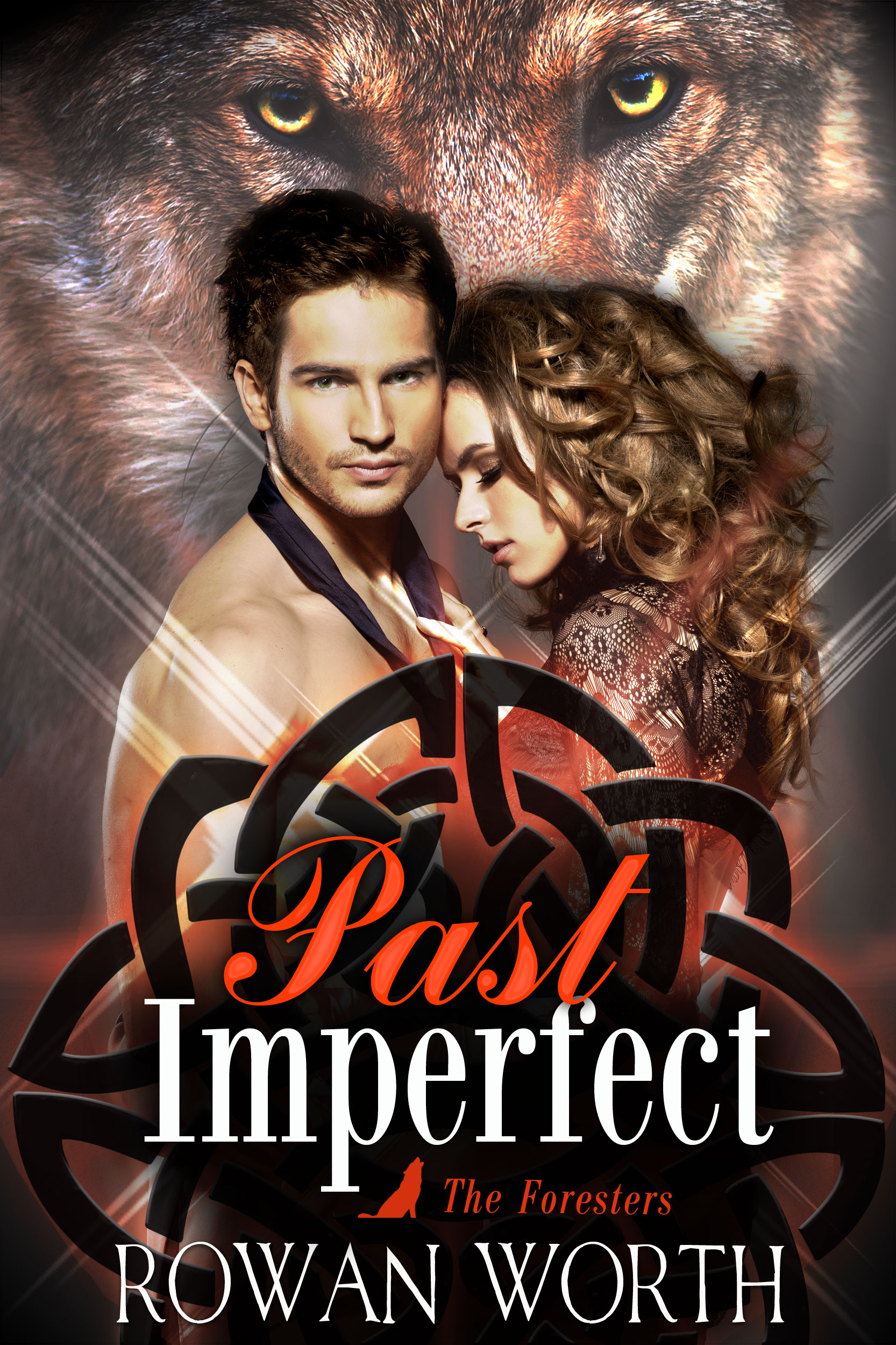 Past Imperfect Cover